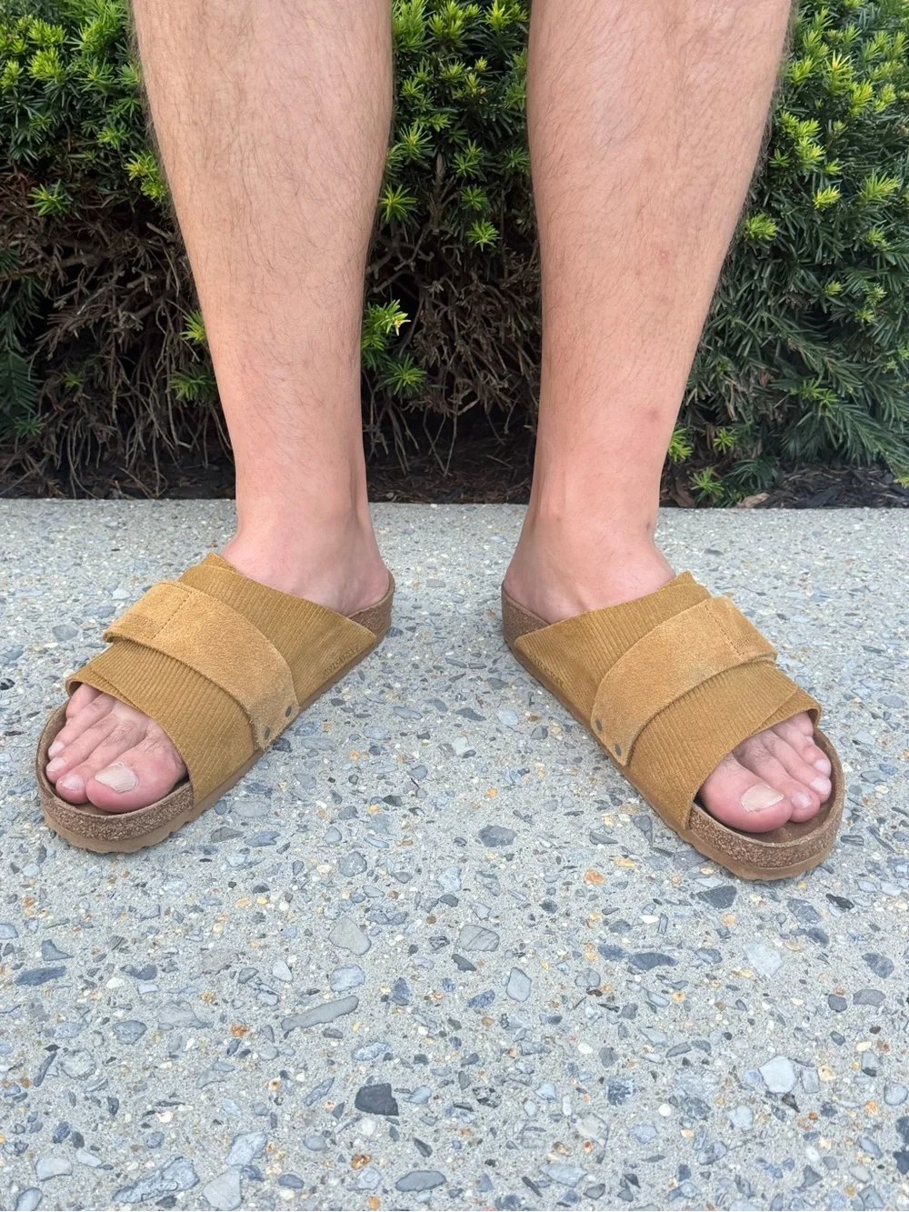 Birkenstock Men's Buckle Slide Sandals in Tan Brown
